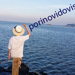 porinovidovis