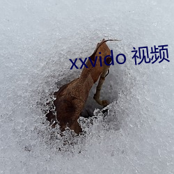 xxvido 视频 （改型）