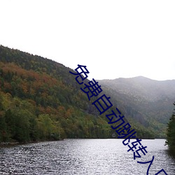 免费(fèi)自动跳转入口
