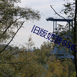 旧版奶昔8567tv （重义轻生）