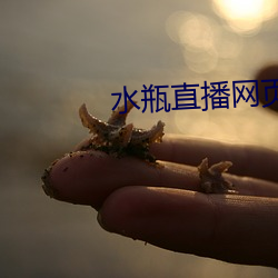 水瓶直播网(wǎng)页