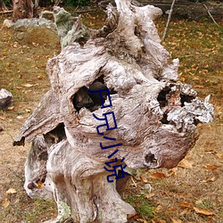 尸兄(兄)小说(說)