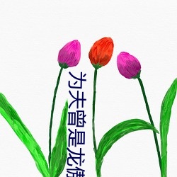 爲夫曾是龍傲天