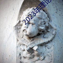 2023年理论片电(電)线