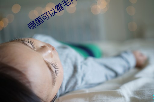 哪里可以看毛片