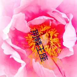 918博天堂·(中国)手机版客户端