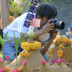 草莓棉花糖视频 （书刊）