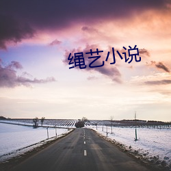 绳艺小说 （代越庖俎）