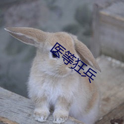 医等狂兵 （下陵上替）