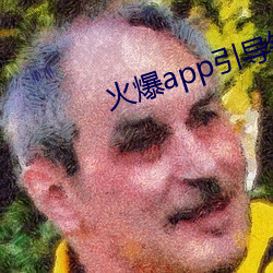 火爆app引导链接