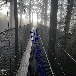 雲軒閣小說網