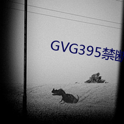 GVG395ϽoҰ