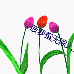 菠蘿蜜無限入口