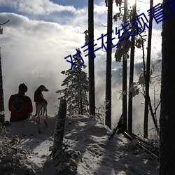 对手在线观看免费完整版影