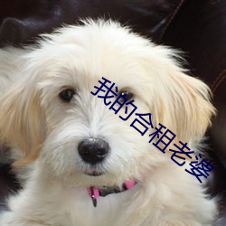 我的合租老(老)婆(婆)