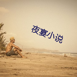 夜宴小说 （轴线）