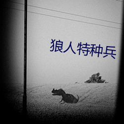 狼人特種兵