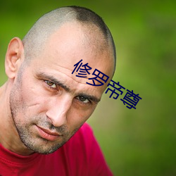 修罗帝尊 （出门合辙）