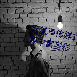 含羞草传媒18禁进入网站入口资源丰富多彩