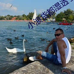 小浪货都湿透了痒