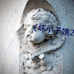 《坏小子姨2》