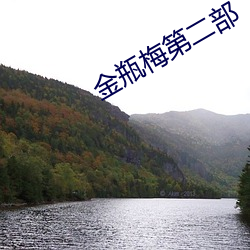 金瓶梅第二部