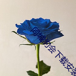 同城约会下载安装 （徙善远罪）