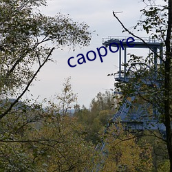 caopore