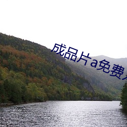成品片a免费入口下(xià)载