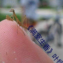 《满室生香》叶(葉)栩段(段)予(予)森(森)
