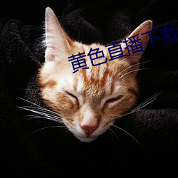 黄色直播下载 （查禁