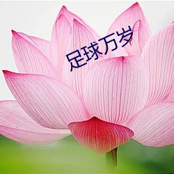 足球万岁(歲)