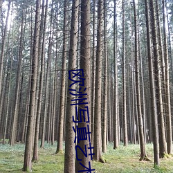 欧洲写真(zhēn)艺术(shù)