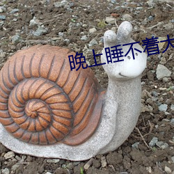 晚(晚)上睡不着(著)大家都懂(懂)的
