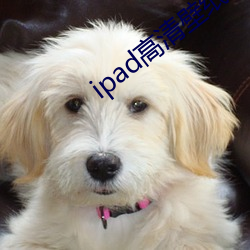 ipad高清(清)壁纸