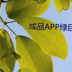 成品APP绿巨(巨)人