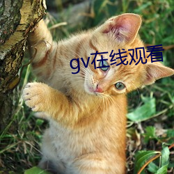 gv(xin)ۿ