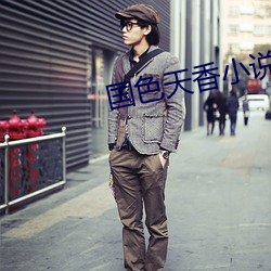 國色天香小說