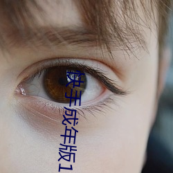 快(快)手(手)成年版1.7