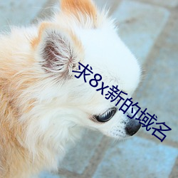 求8x新的域名
