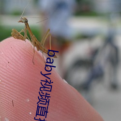 baby视频直播下载