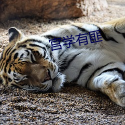 宮學有匪