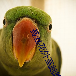 菟絲花外室跑路了