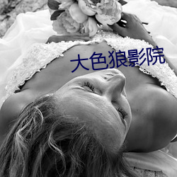 大色狼影(影)院(院)