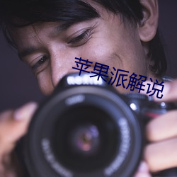 苹果派解说