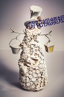 荷花(huā)视频短片