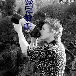 草莓视频app下载