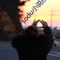 sodu小说(說)搜索(索)