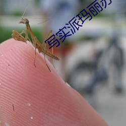 写(xiě)实派玛丽苏