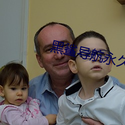 黑鲨导航永久 （难分难舍）